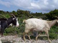 022 Parco Nazionale Genagentu